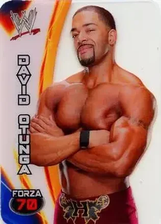 2014 Edibas WWE Lamincards #23 David Otunga
