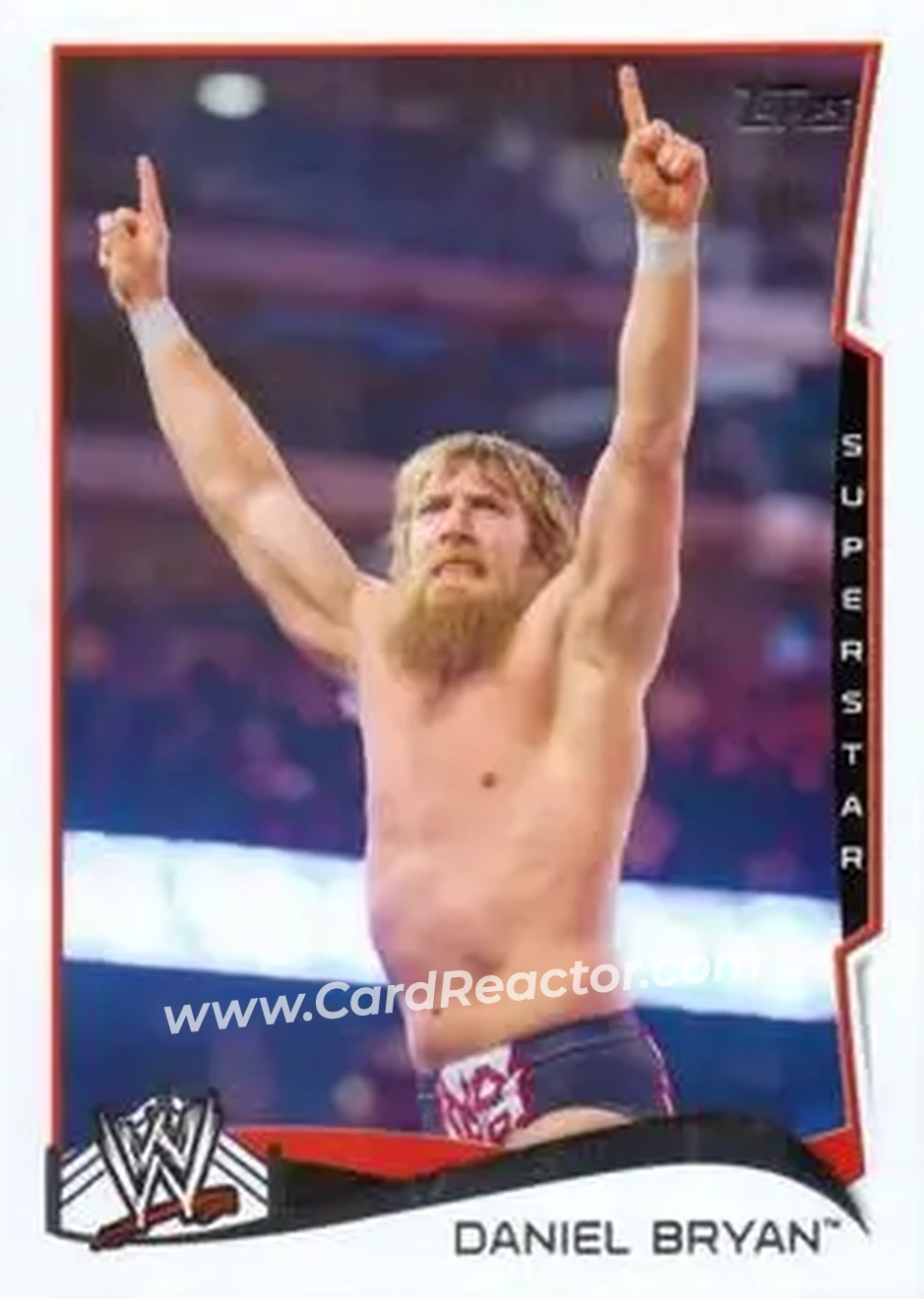 2014 Topps WWE #14 - Bryan Danielson - Front