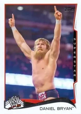 2014 Topps WWE #14 Bryan Danielson