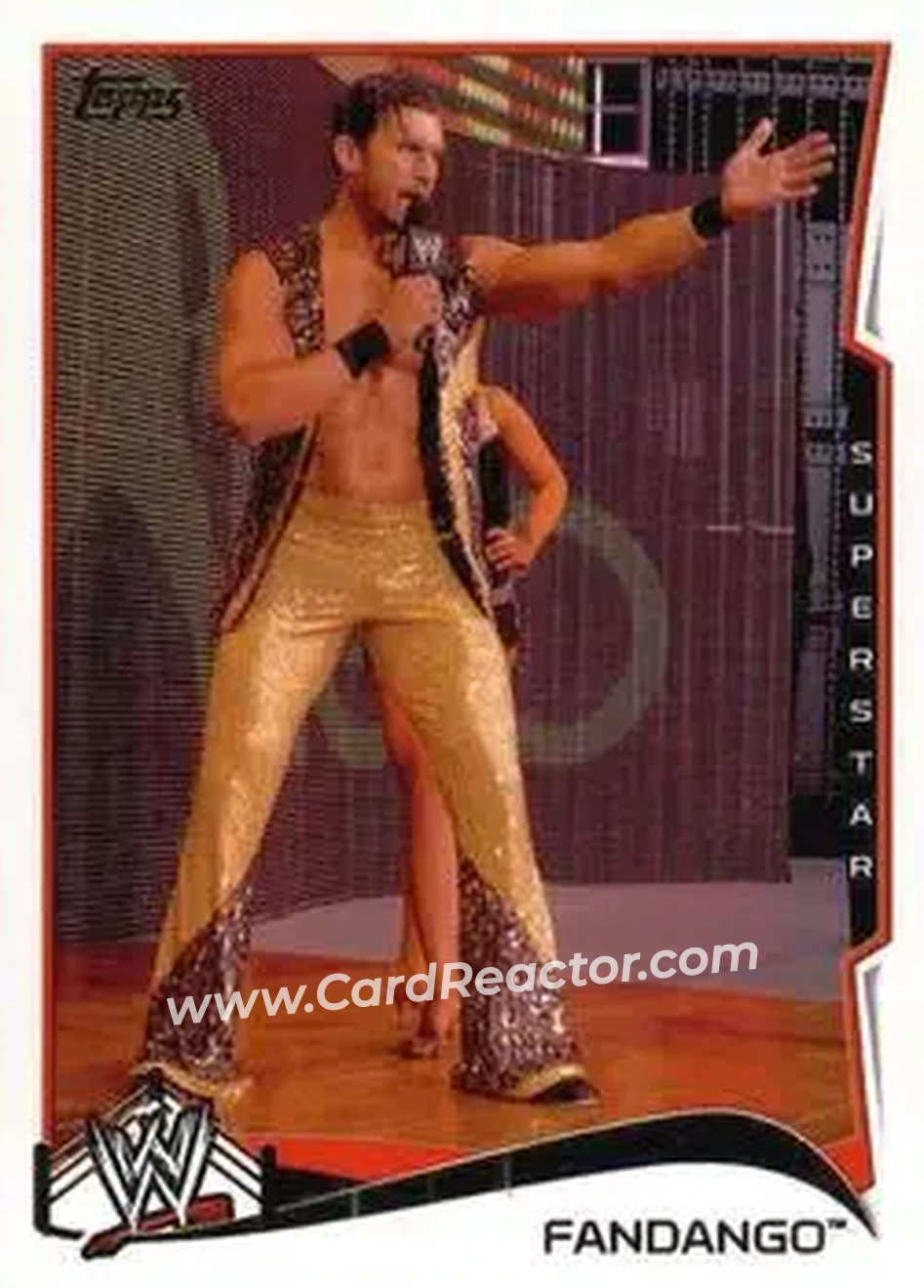 2014 Topps WWE #21 - Fandango - Front