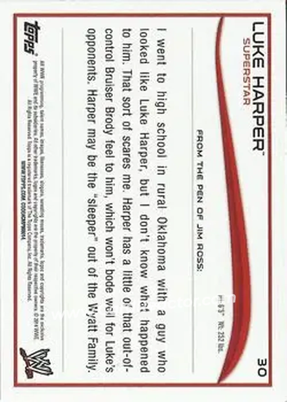 2014 Topps WWE #30 - Mr. Brodie Lee - Back