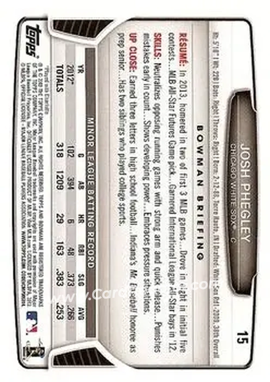 2013 Bowman Draft Picks & Prospects #15 - Josh Phegley - Chicago White Sox - Back
