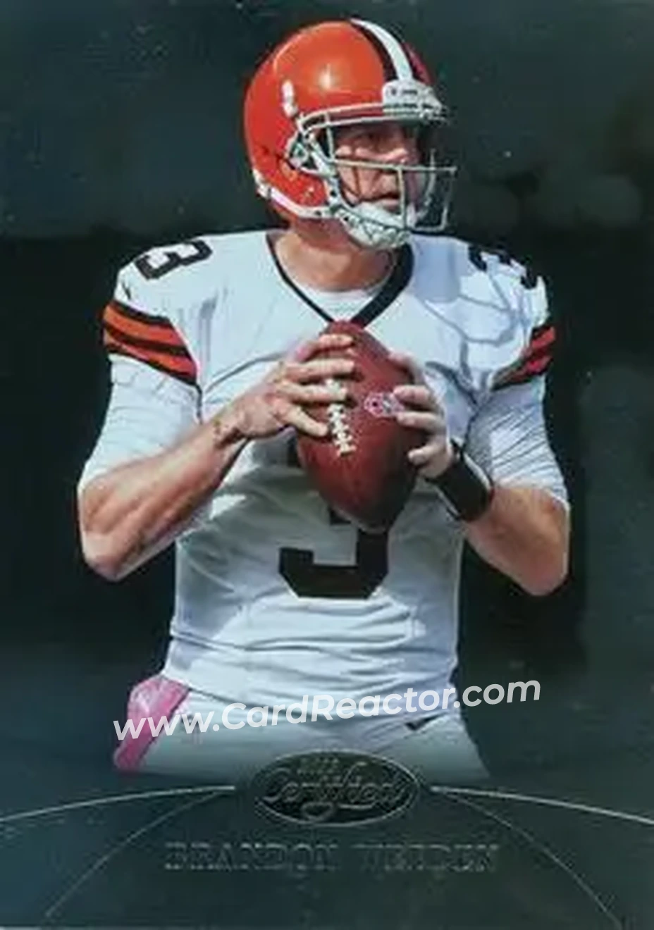 2013 Panini Certified #10 - Brandon Weeden - Cleveland Browns