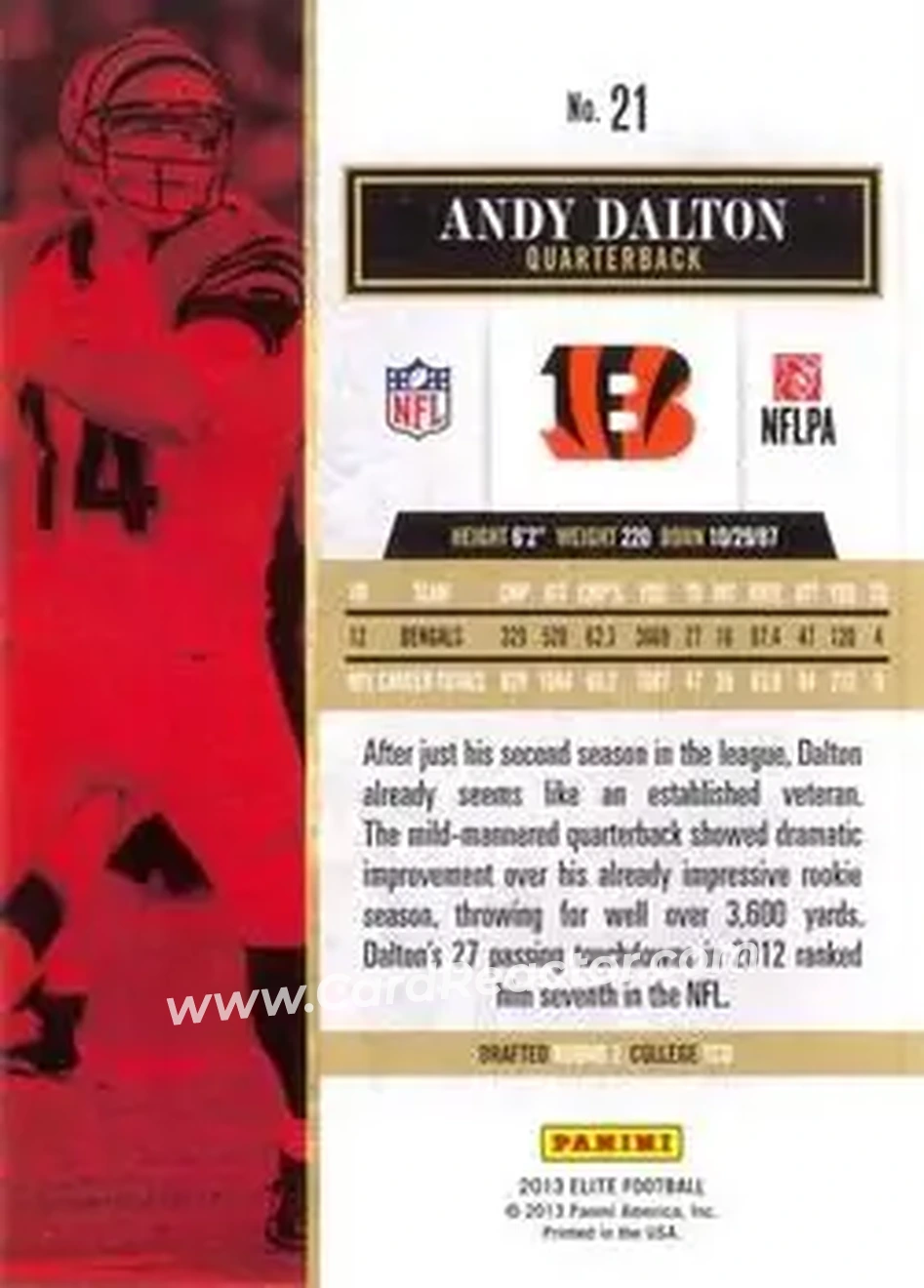 2013 Panini Elite #21 - Andy Dalton - Cincinnati Bengals - Back