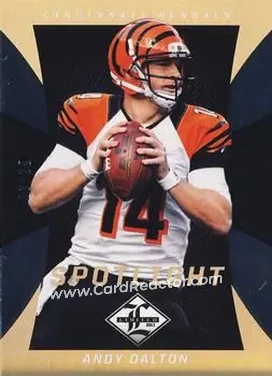 2013 Panini Limited - Gold Spotlight #19 - Andy Dalton - Cincinnati Bengals - Front