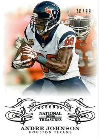2013 Panini National Treasures #41 - Andre Johnson - Houston Texans