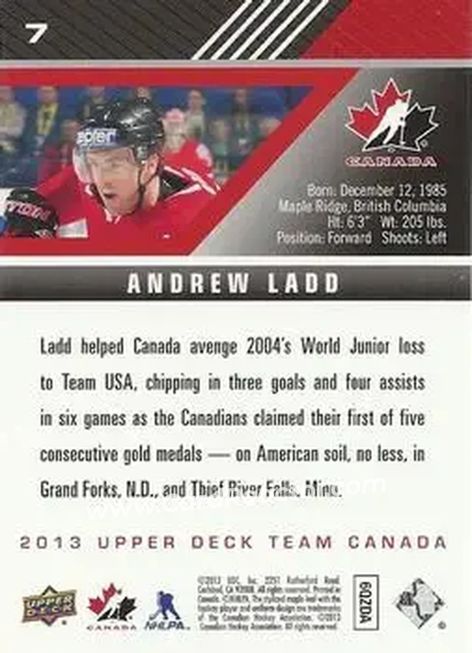 2013 Upper Deck Team Canada #7 - Andrew Ladd - Canada - Back