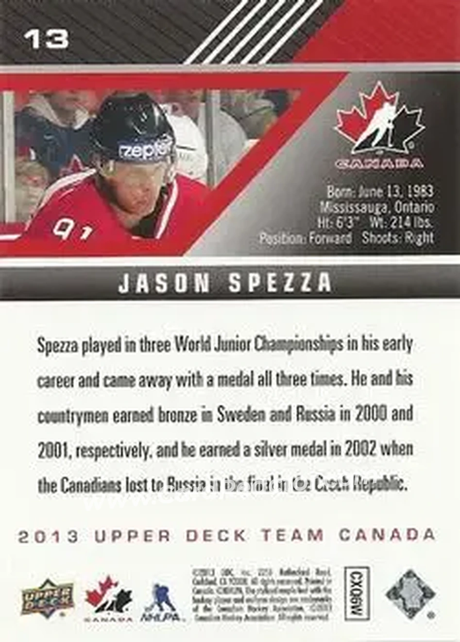 2013 Upper Deck Team Canada #13 - Jason Spezza - Canada - Back