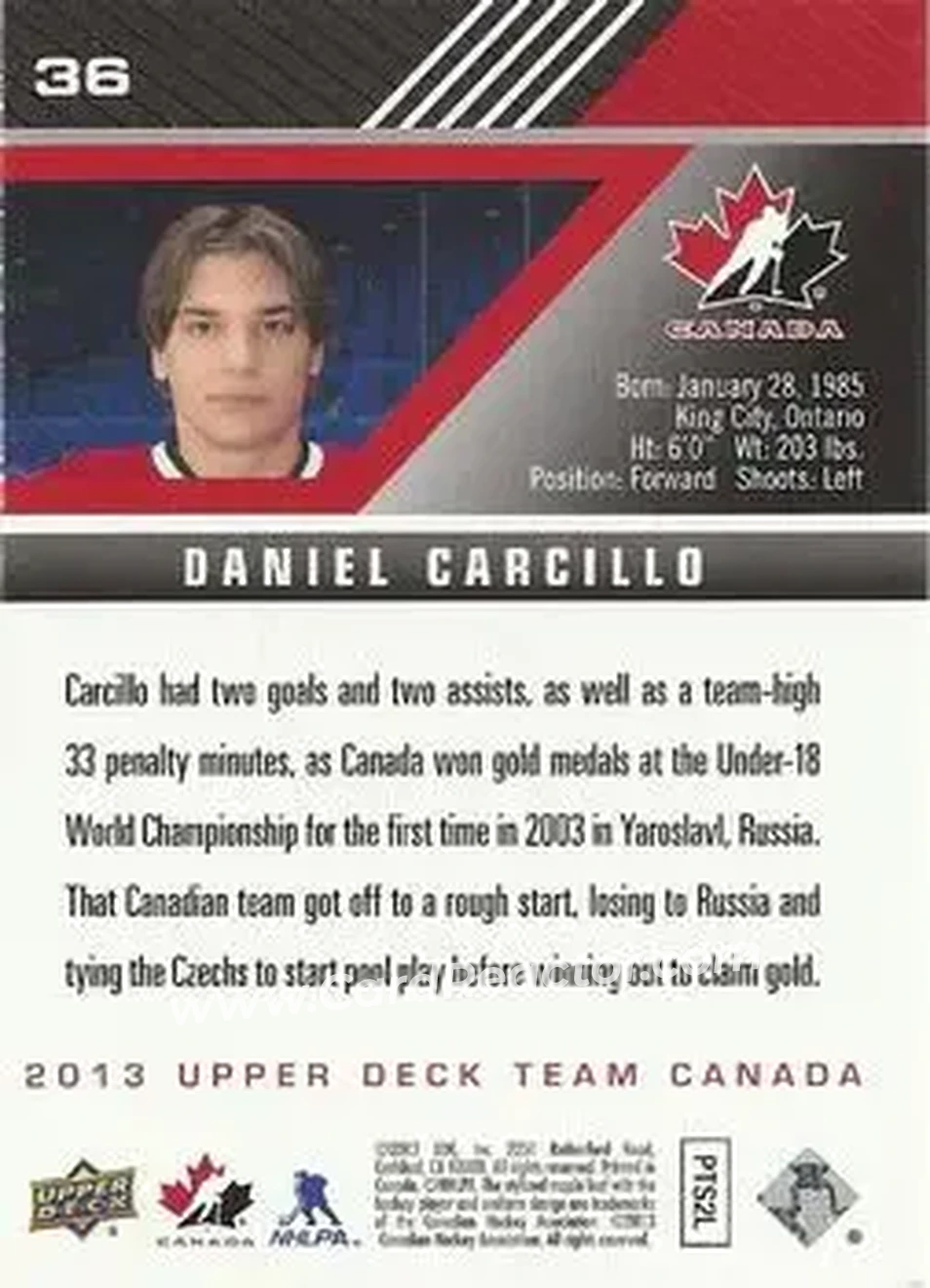 2013 Upper Deck Team Canada #36 - Daniel Carcillo - Canada - Back