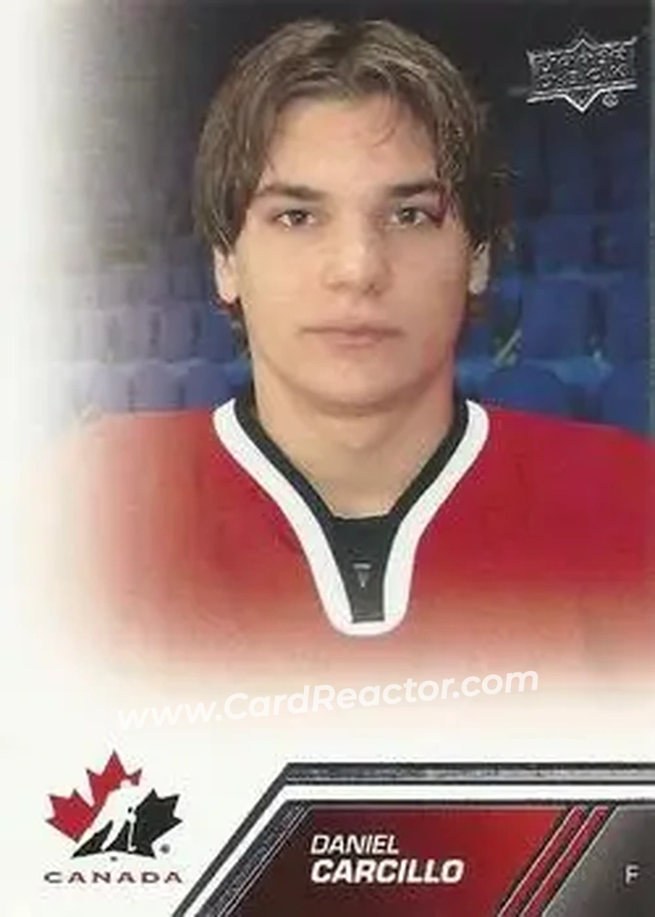 2013 Upper Deck Team Canada #36 - Daniel Carcillo - Canada - Front