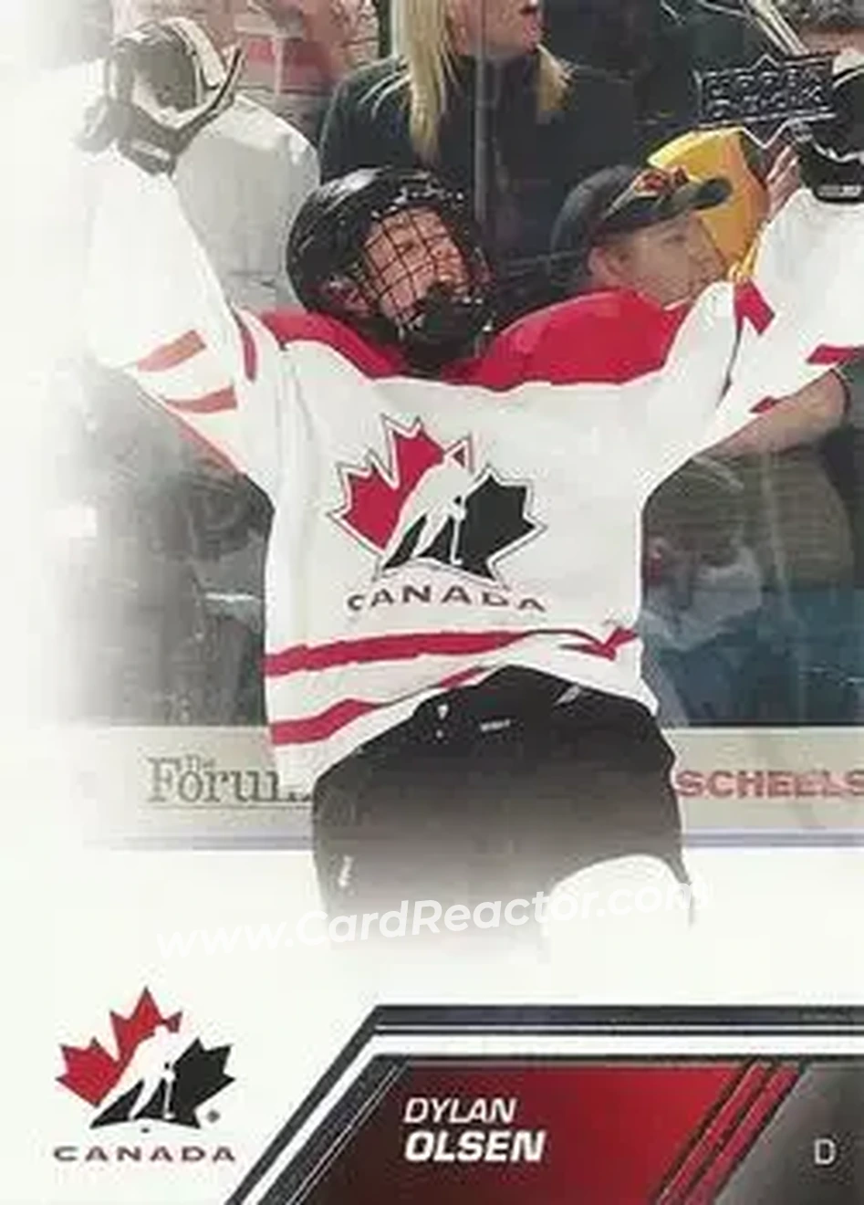 2013 Upper Deck Team Canada #40 - Dylan Olsen - Canada