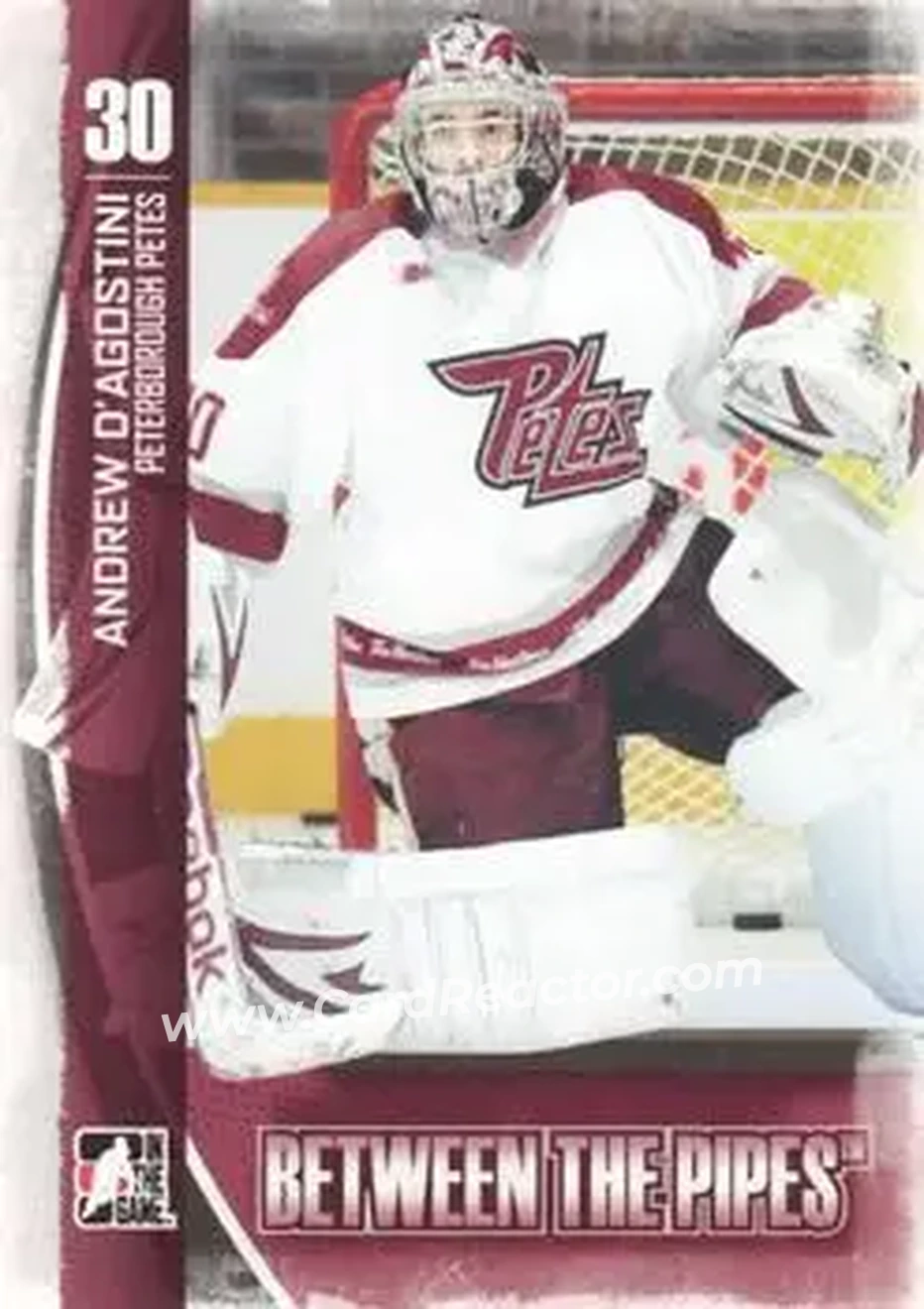 2013-14 In The Game Between the Pipes #24 - Andrew D'Agostini - Peterborough Petes - Front