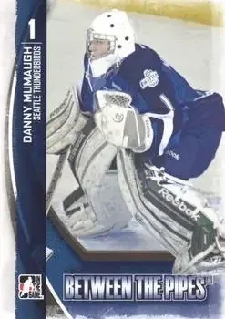 2013-14 In The Game Between the Pipes feature card