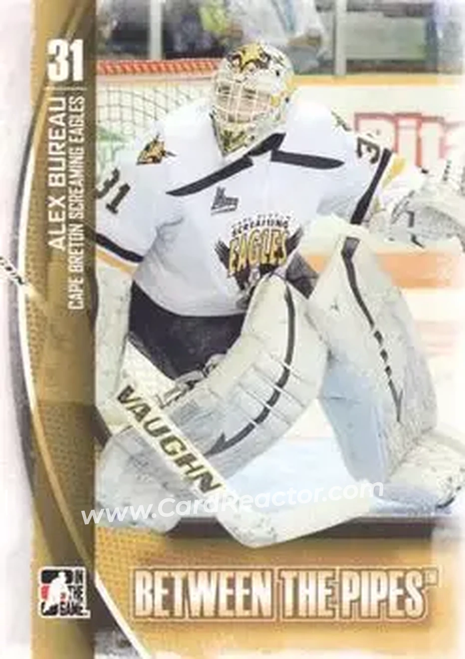 2013-14 In The Game Between the Pipes #31 - Alex Bureau - Cape Breton Screaming Eagles - Front 2013-14 In The Game Between the Pipes #31 - Alex Bureau - Cape Breton Screaming Eagles - Front
