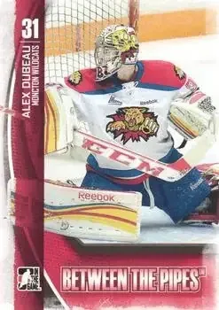 2013-14 In The Game Between the Pipes feature card