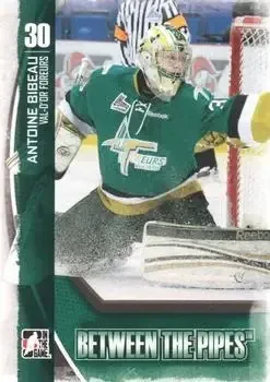 2013-14 In The Game Between the Pipes feature card