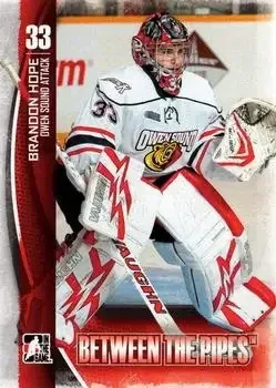 2013-14 In The Game Between the Pipes feature card
