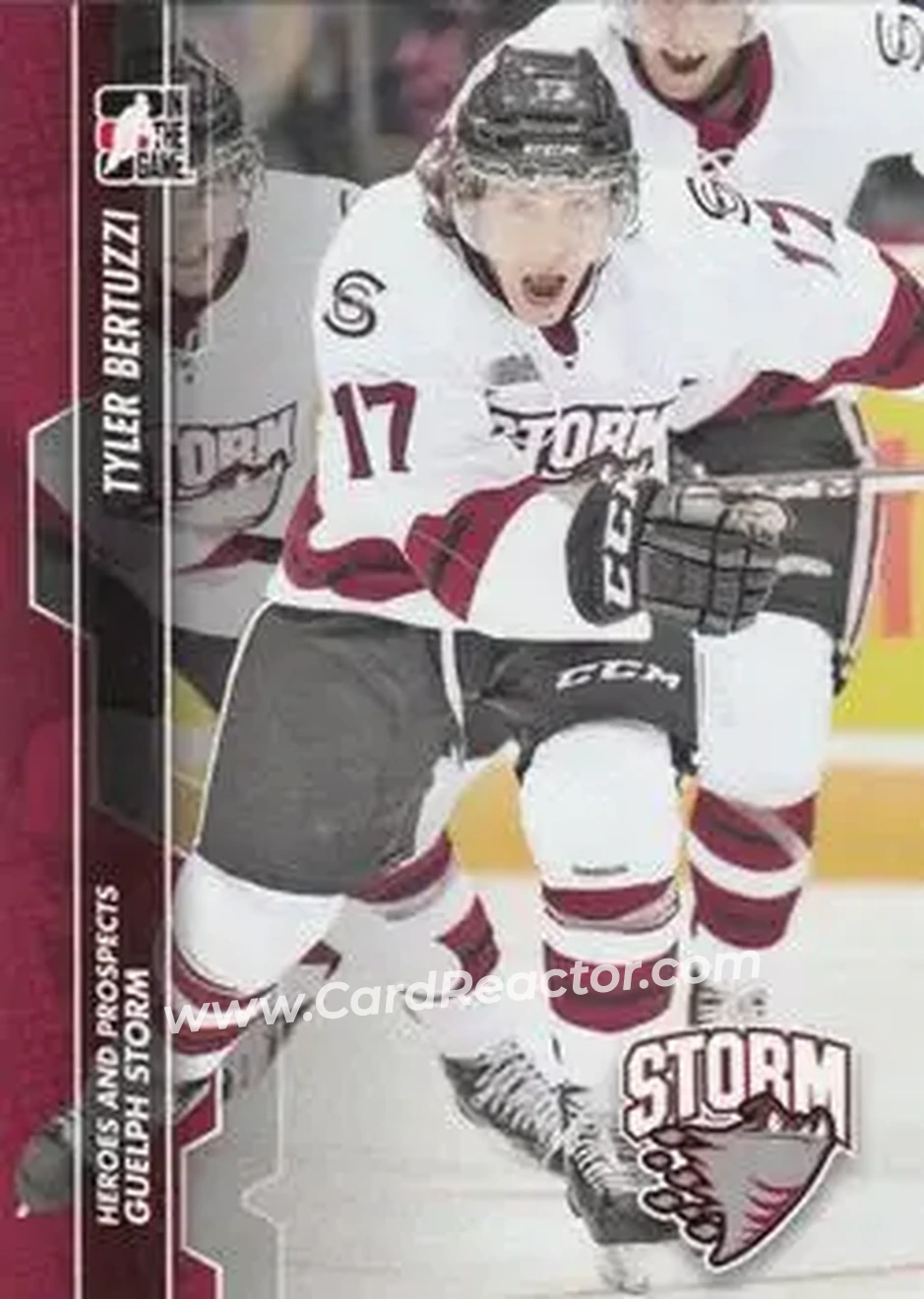 2013-14 In The Game Heroes and Prospects #9 - Tyler Bertuzzi - Guelph Storm - Front