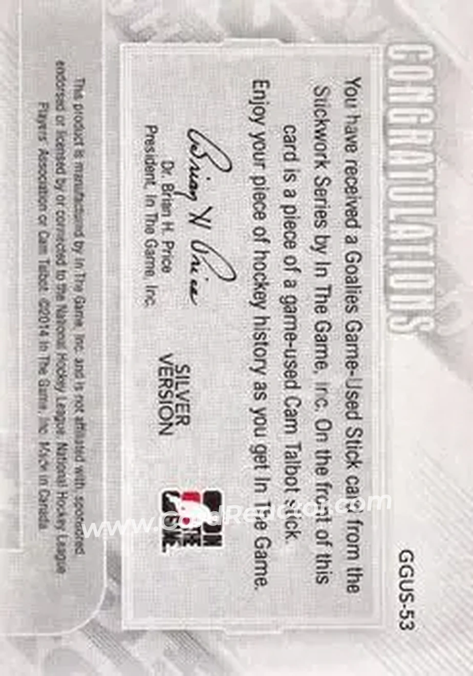 2013-14 In The Game StickWork - Game Used Goalie Sticks Silver #GGUS-53 - Cam Talbot - Back