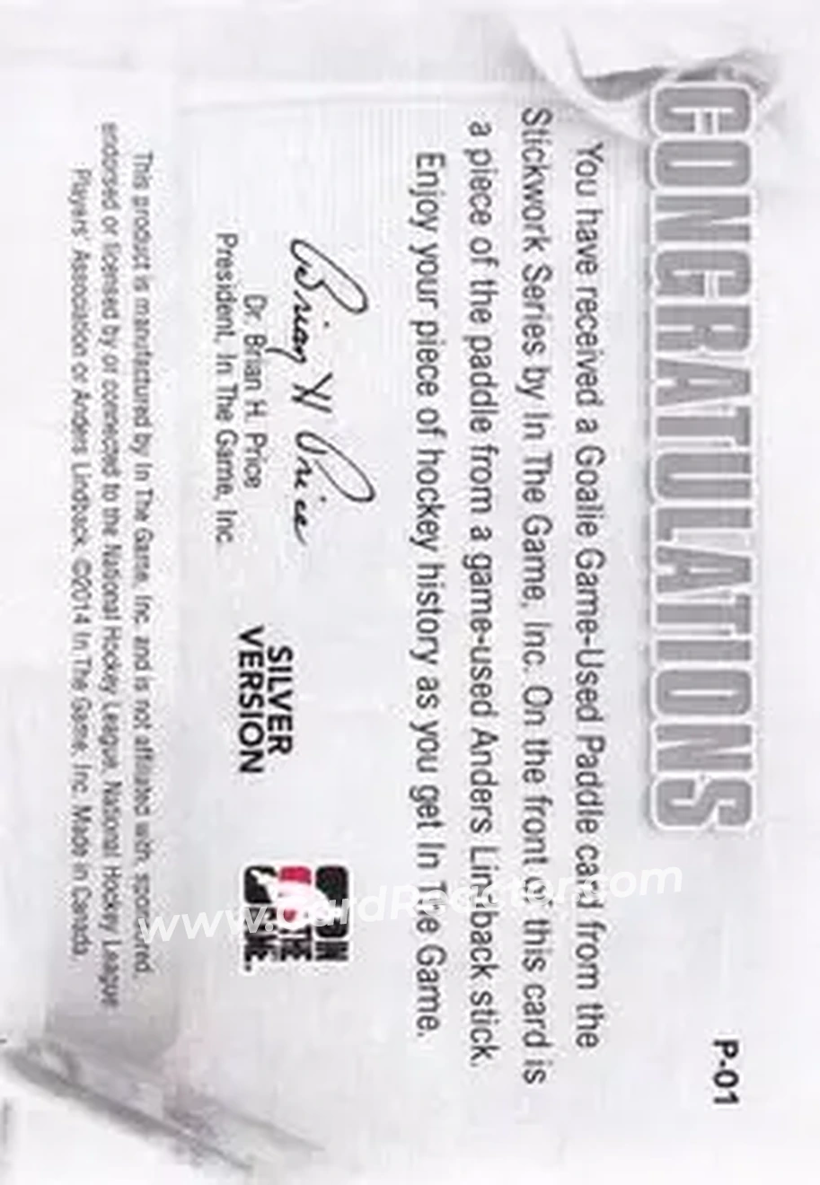 2013-14 In The Game StickWork - Game Used Goalie Paddles Silver #P-01 - Anders Lindback - Back
