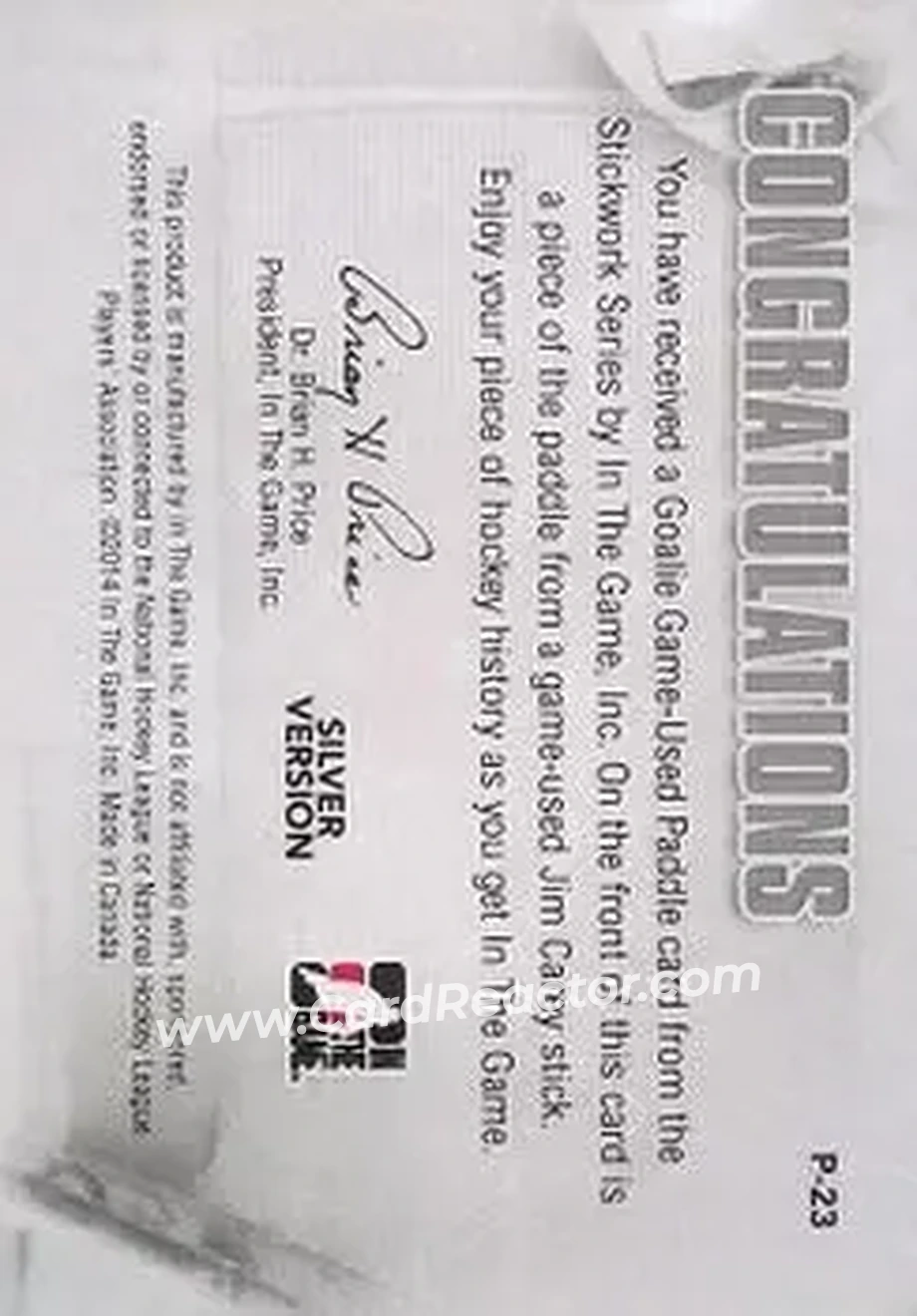 2013-14 In The Game StickWork - Game Used Goalie Paddles Silver #P-23 - Jim Carey - Washington Capitals - Back
