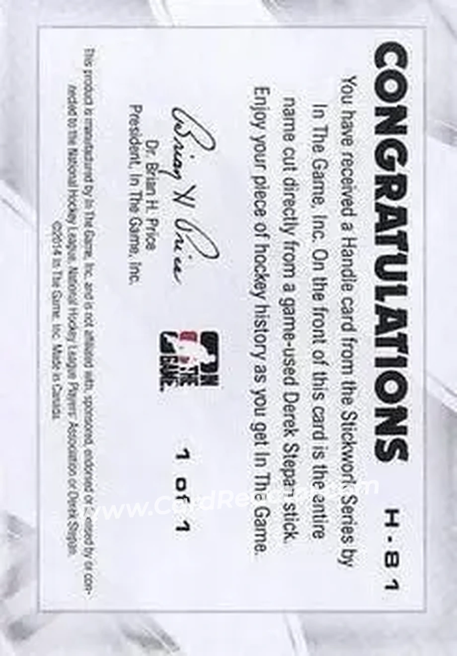 2013-14 In The Game StickWork - Stick Handles #H-81 - Derek Stepan - Back 2013-14 In The Game StickWork - Stick Handles #H-81 - Derek Stepan - Back
