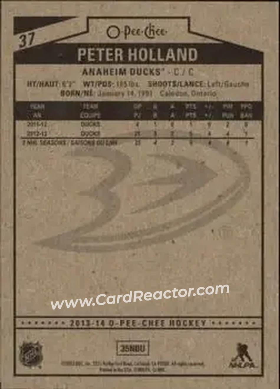 2013-14 O-Pee-Chee #37 - Peter Holland - Anaheim Ducks - Back