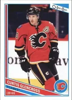 2013-14 O-Pee-Chee feature card