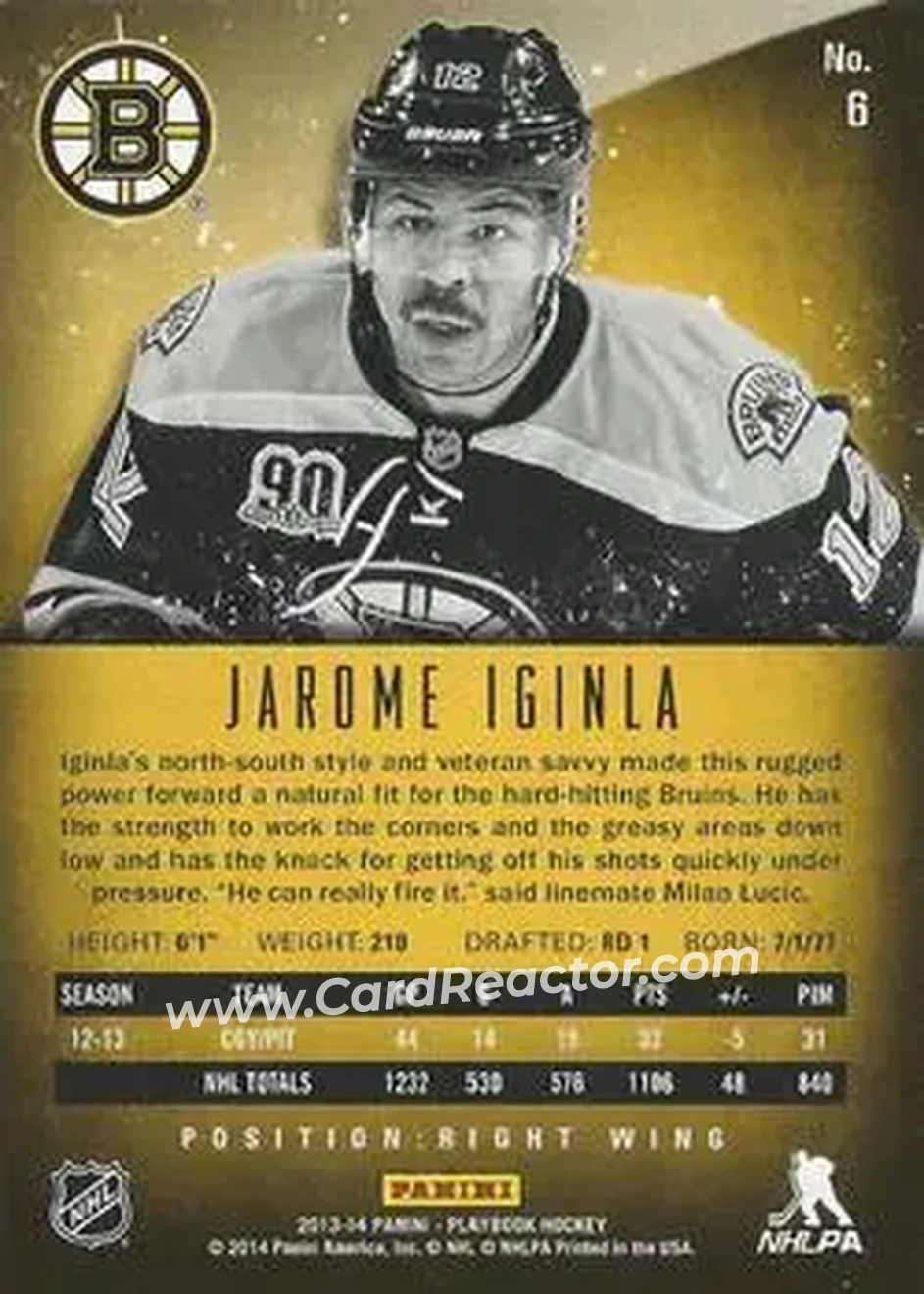 2013-14 Panini Playbook #6 - Jarome Iginla - Boston Bruins - Back