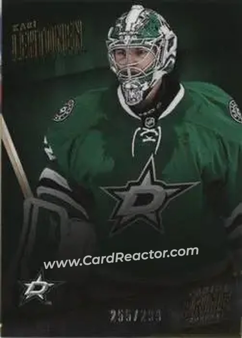 2013-14 Panini Prime #29 - Kari Lehtonen - Dallas Stars - Front