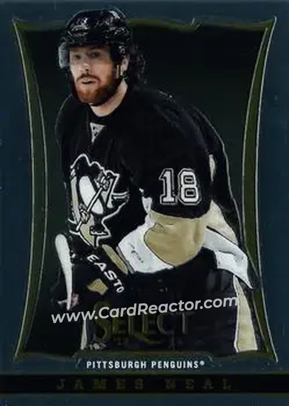 2013-14 Panini Select #9 - James Neal - Pittsburgh Penguins - Front 2013-14 Panini Select #9 - James Neal - Pittsburgh Penguins - Front