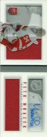 2013-14 Panini Playbook #111 Petr Mrazek