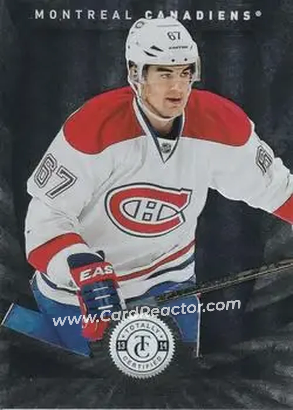 2013-14 Panini Totally Certified #19 - Max Pacioretty - Montreal Canadiens - Front