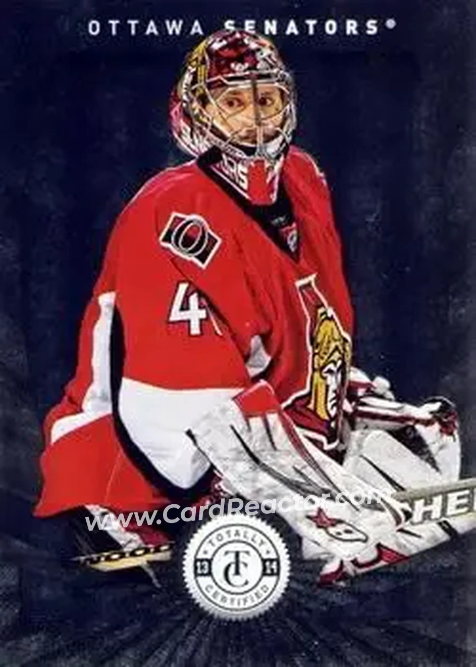 2013-14 Panini Totally Certified #29 - Craig Anderson - Ottawa Senators - Front