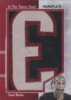 2013-14 In The Game Used feature card