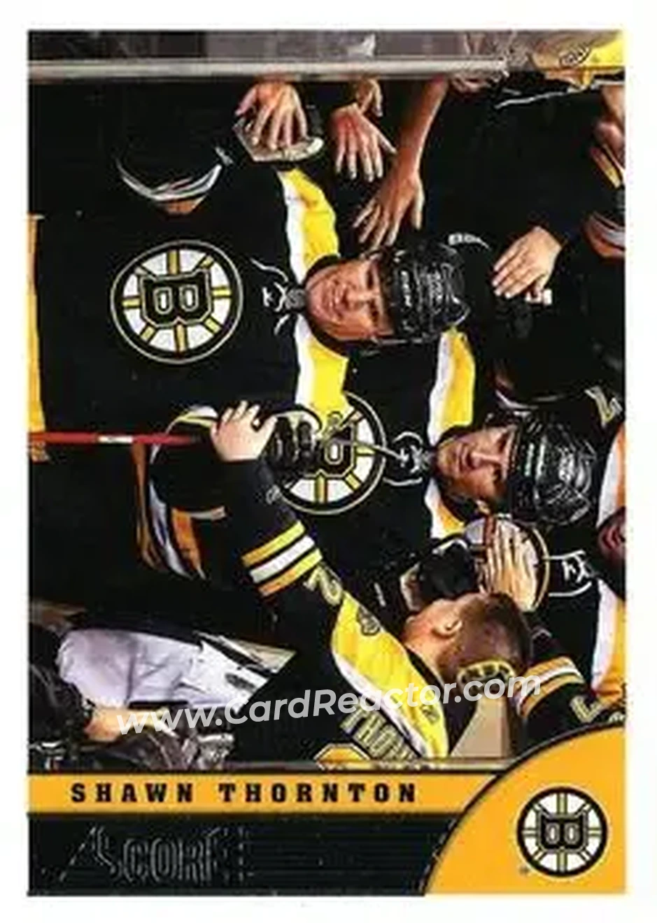 2013-14 Score #28 - Shawn Thornton - Boston Bruins - Front