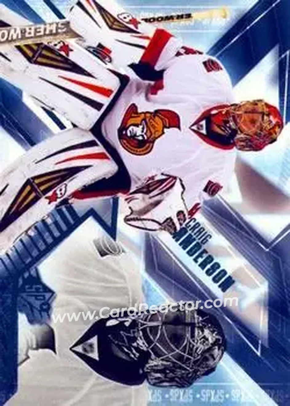 2013-14 SPx #9 - Craig Anderson - Ottawa Senators - Front