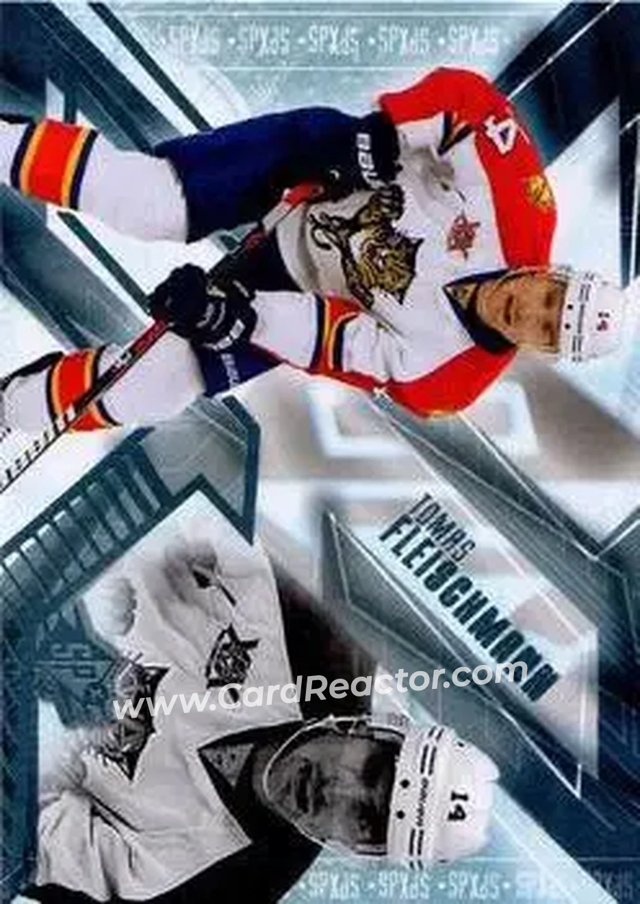 2013-14 SPx #19 - Tomas Fleischmann - Florida Panthers - Front