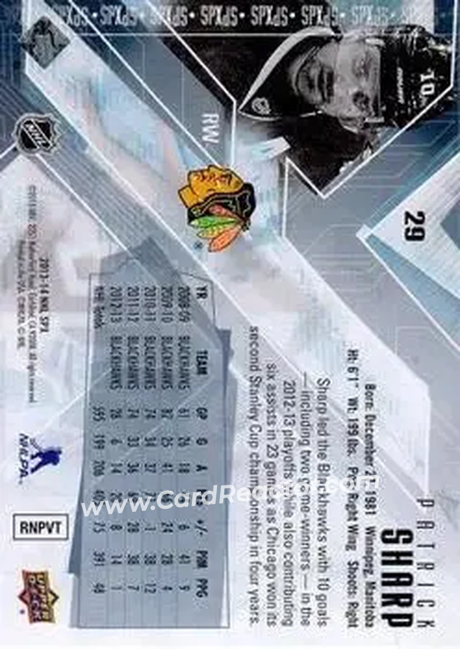 2013-14 SPx #29 - Patrick Sharp - Chicago Blackhawks - Back