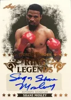 2013 Leaf Sports Heroes feature card