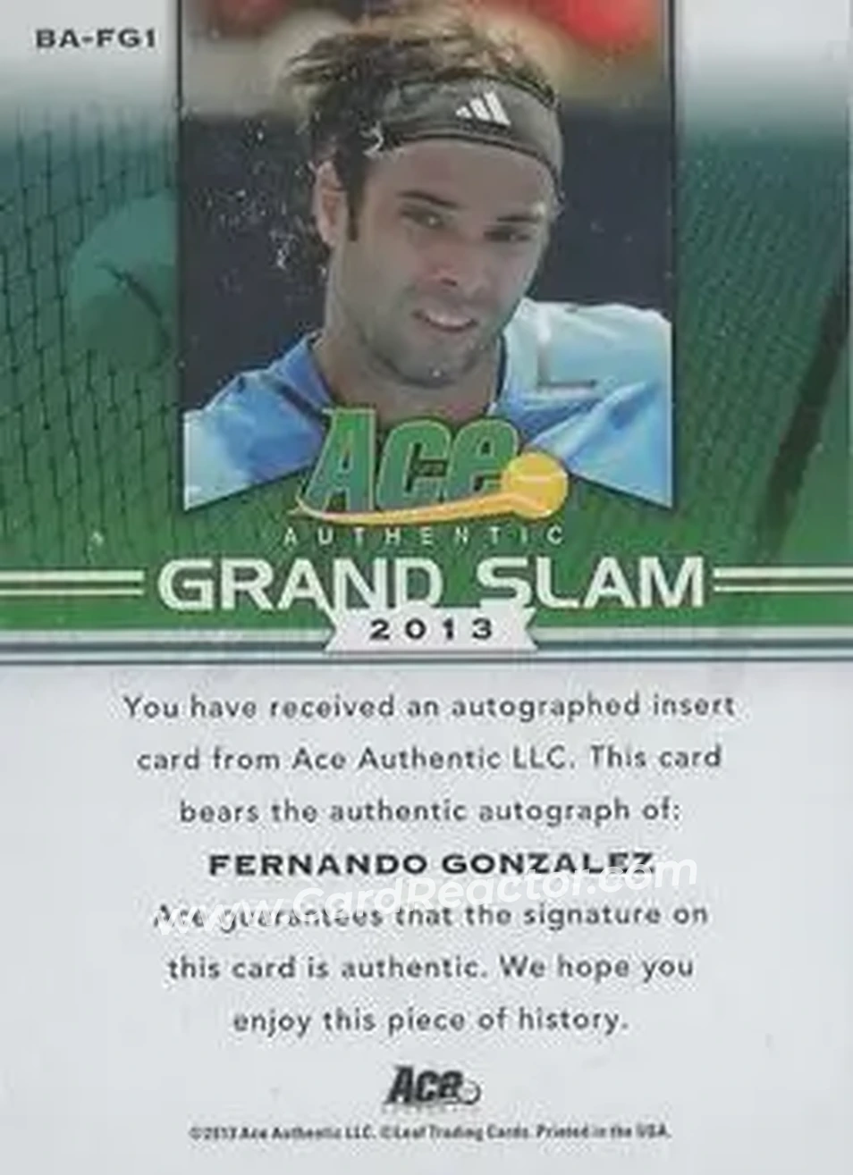 2013 Leaf Ace Authentic Grand Slam #BA-FG1 - Fernando Gonzalez - Back