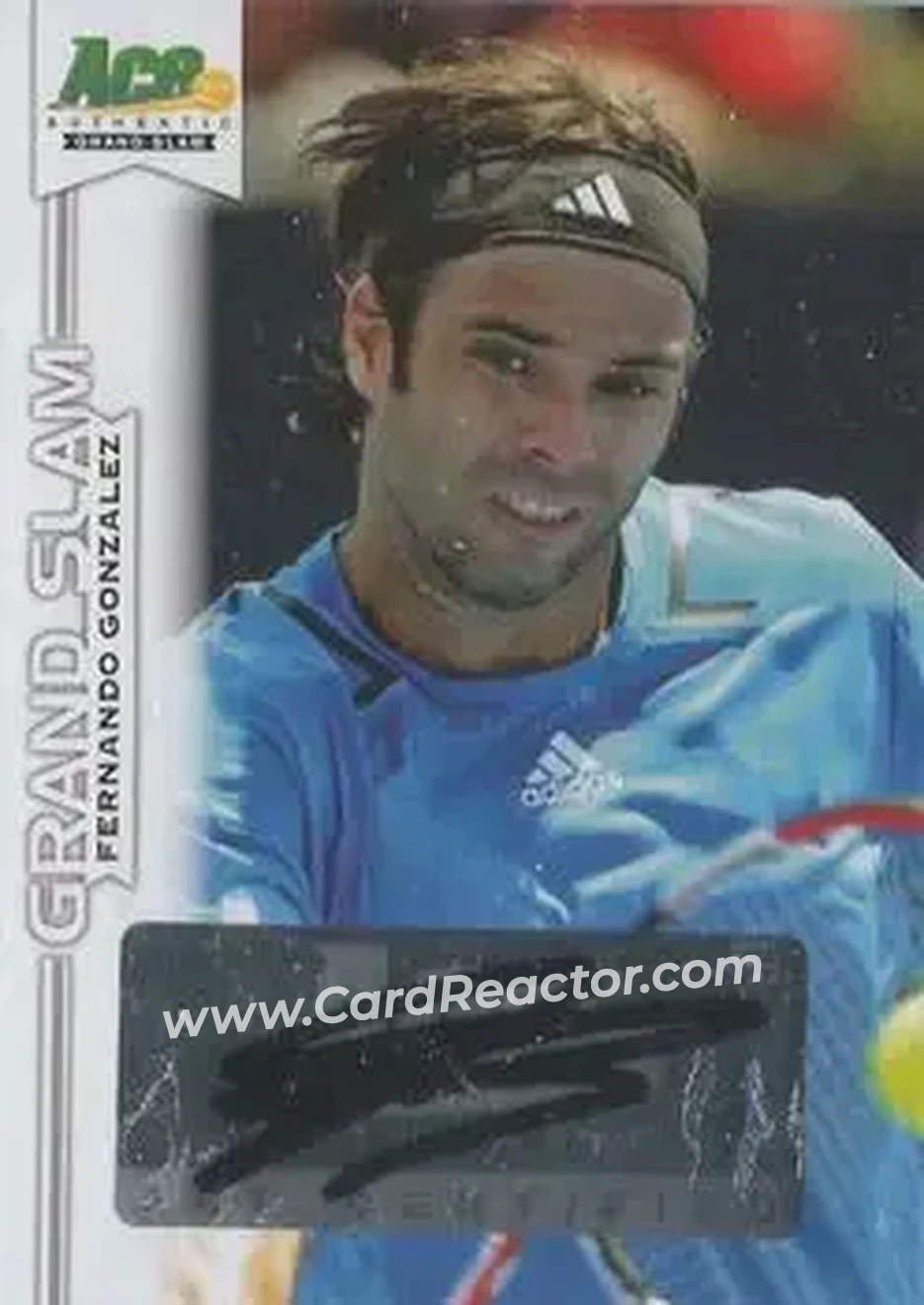 2013 Leaf Ace Authentic Grand Slam #BA-FG1 - Fernando Gonzalez - Front
