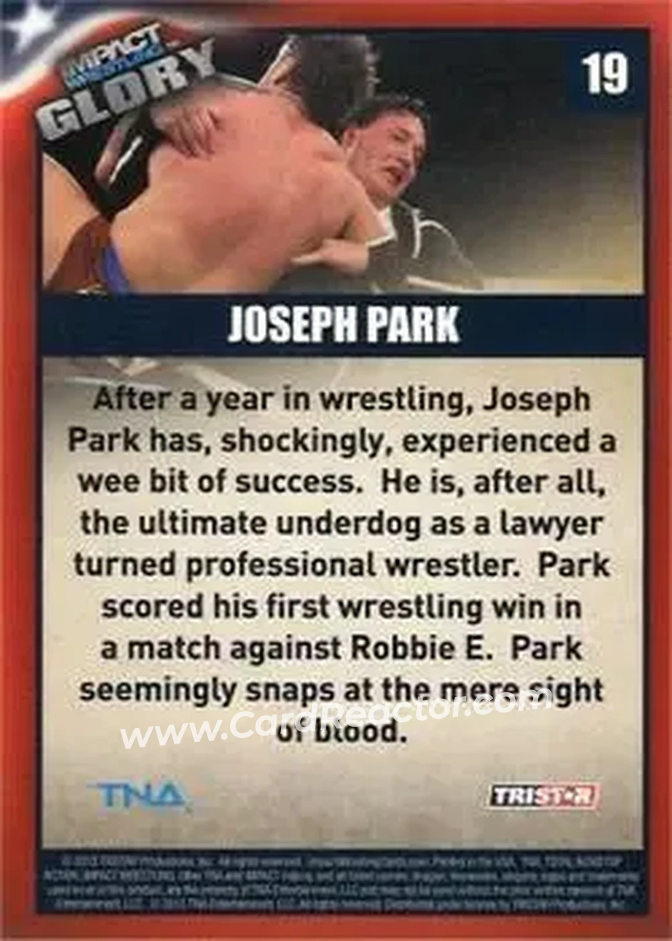 2013 TriStar TNA Impact Glory #19 - Abyss - Back 2013 TriStar TNA Impact Glory #19 - Abyss - Back
