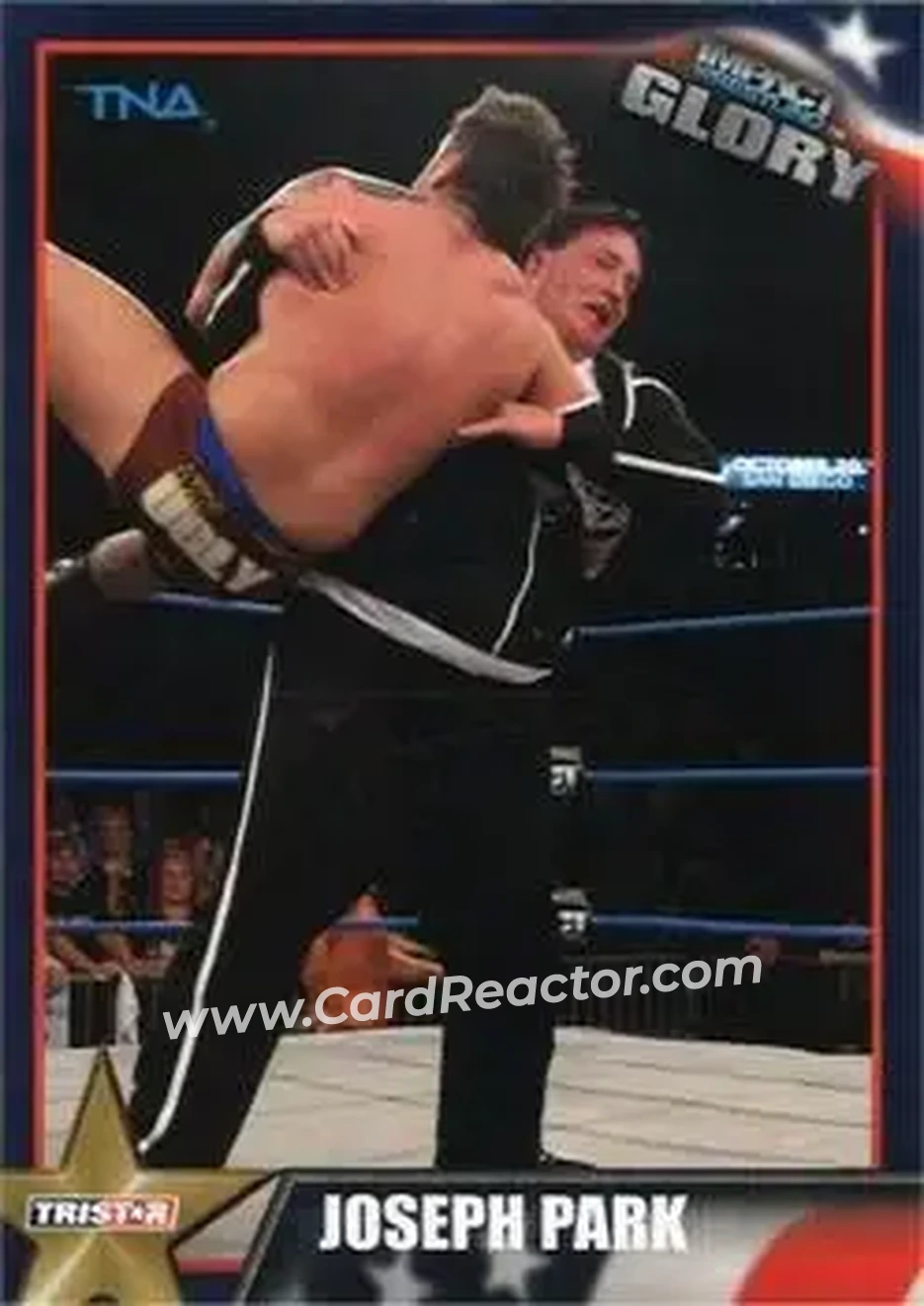 2013 TriStar TNA Impact Glory #19 - Abyss - Front 2013 TriStar TNA Impact Glory #19 - Abyss - Front