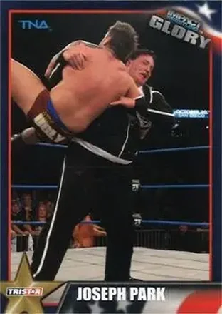 2013 TriStar TNA Impact Glory #19 Abyss