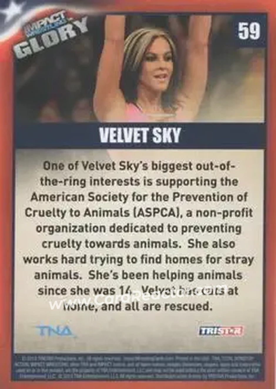 2013 TriStar TNA Impact Glory #59 - Velvet Sky - Back