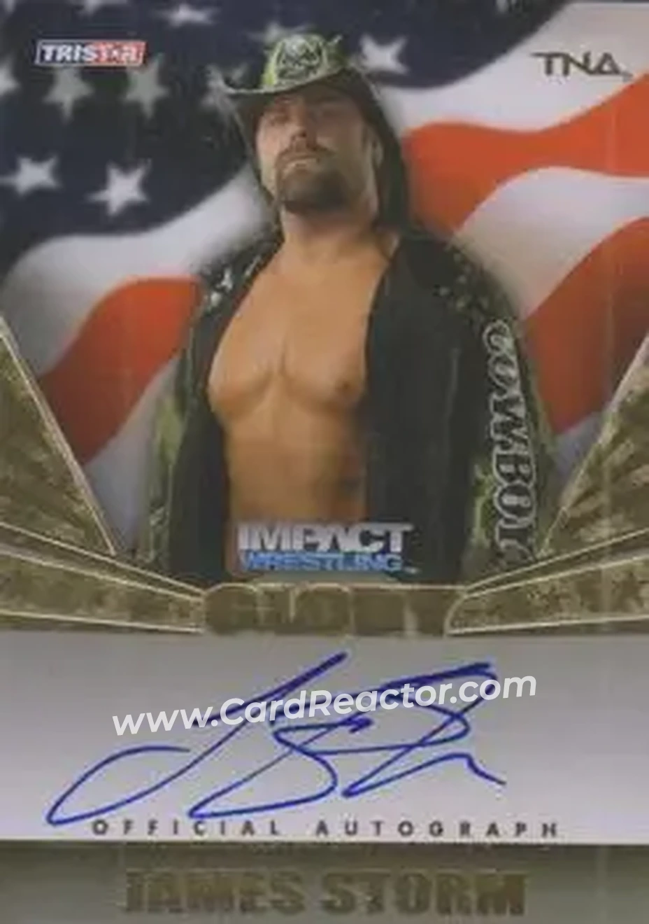 2013 TriStar TNA Impact Glory - On-Card Autographs Gold #G-JS - James Storm