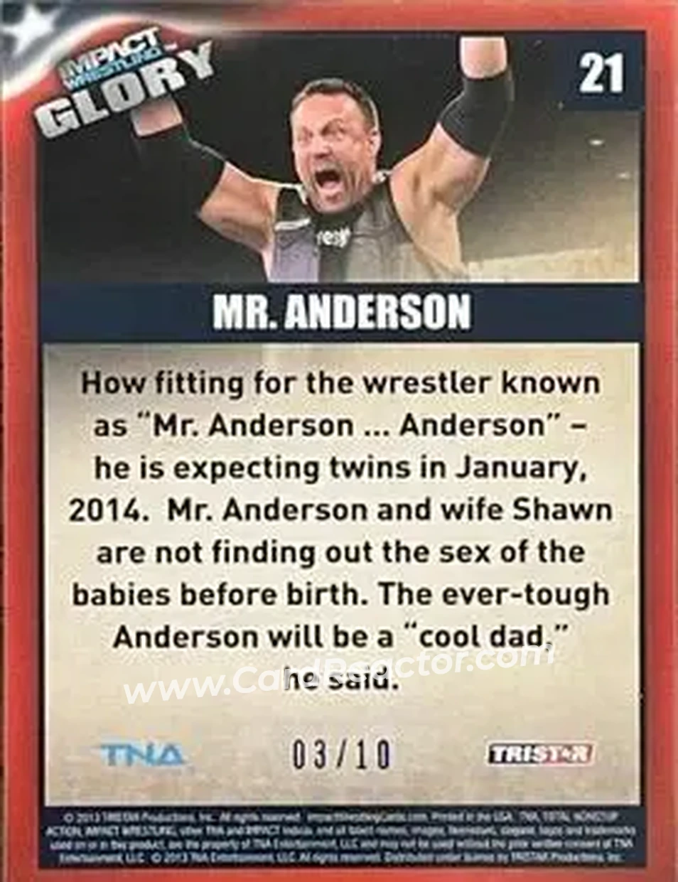2013 TriStar TNA Impact Glory - Blue #21 - Mr. Anderson - Back 2013 TriStar TNA Impact Glory - Blue #21 - Mr. Anderson - Back