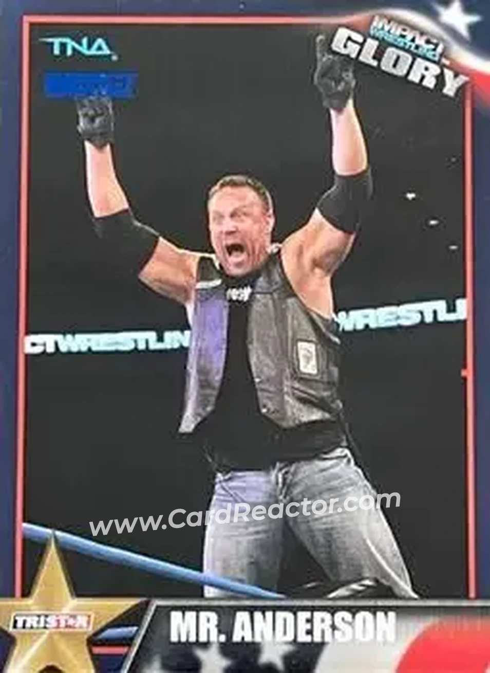 2013 TriStar TNA Impact Glory - Blue #21 - Mr. Anderson - Front 2013 TriStar TNA Impact Glory - Blue #21 - Mr. Anderson - Front