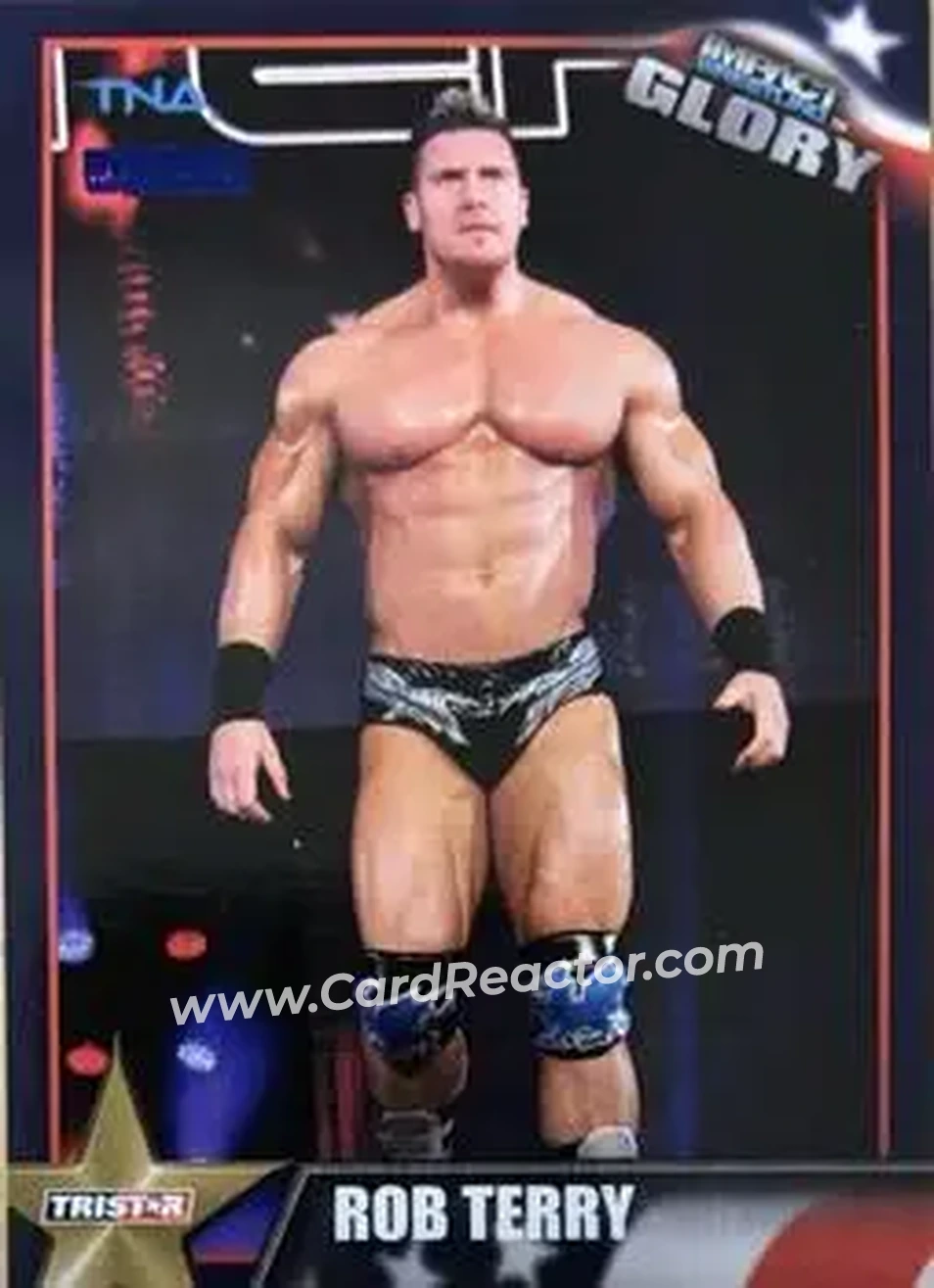 2013 TriStar TNA Impact Glory - Blue #43 - Rob Terry - Front 2013 TriStar TNA Impact Glory - Blue #43 - Rob Terry - Front